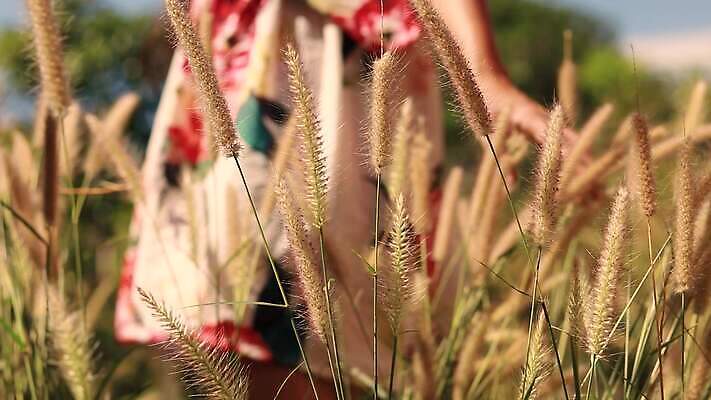 라이프스타일 웰빙 계절 여자 행복 잎 사람 사람없음 야외 햇빛 맑음 고요 봄 터치 자유 신선 4K MP4 해외동영상 슬로모션 클립영상 식물 감정 컨셉 날씨 촬영기법 생활 태양 동영상 파일형식