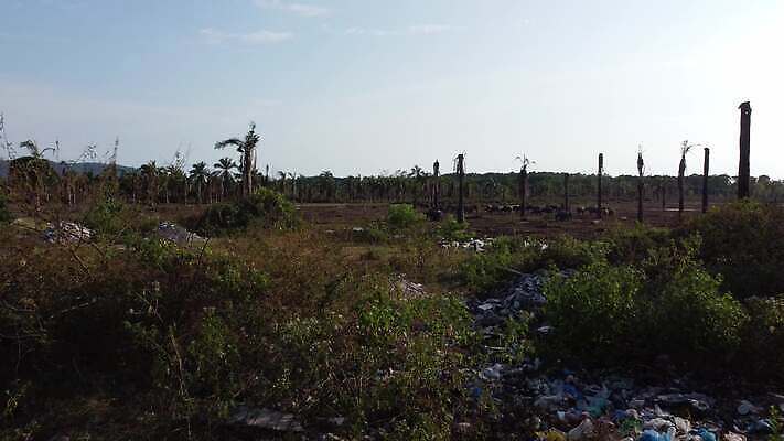 아시아 도로 손바닥 풍경 사람없음 초록색 환경 재활용 손상 시골 환경오염 오염 보호 쓰레기 폐기물 파편 플라스틱 버리기 먼지 장면 한조각 흙더미 낭비 고물상 옛날 재앙 처리 4K MOV 해외동영상 클립영상 1 손 나라 길 컬러 컨셉 교통시설 모션 재질 흙 친환경 동영상 파일형식 더미