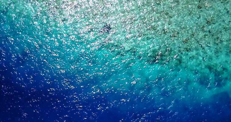 모래 파도 백그라운드 휴가 휴식 사랑 해변 사람없음 파란색 껍질 흰색 산호 파라다이스 4K MOV 해외동영상 클립영상 감정 바다 컬러 컨셉 자포동물 동영상 파일형식