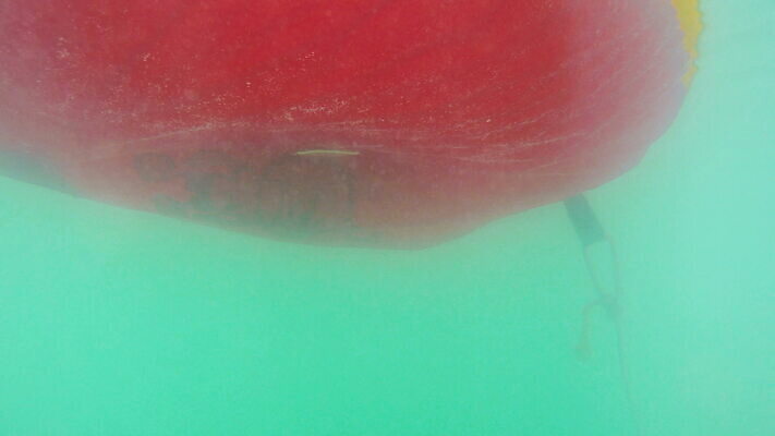 라이프스타일 호수 파도 바다 백그라운드 모션 자연 표면 휴가 휴식 바닥 사람없음 물 파란색 수중 수영 활발 거품 반지 액체 당구 아래 다이빙 질감 파이프 튜브 고무 깊이 터키석 4K MOV 해외동영상 클립영상 자연요소 컬러 컨셉 장신구 생활 구기 수상스포츠 보석 방향 생태계 위치 동영상 수중스포츠 파일형식