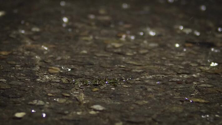 계절 도로 물결 백그라운드 자연 표면 날씨 거리 바닥 사람없음 야외 물 빛 반사 어둠 젖음 가을 도시 액체 고리 보행로 떨어짐 아스팔트 홍수 빗방울 질감 웅덩이 장면 분무기 폭풍 무거움 스플래쉬 4K MP4 해외동영상 클립영상 자연요소 길 컨셉 교통시설 비_날씨 무게 자연재해 생태계 동영상 파일형식