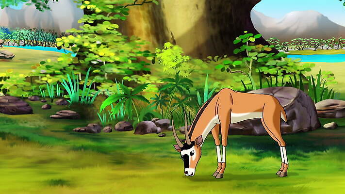 야생동물 아프리카 자연 사람없음 만화 영양 애니메이션 가젤 사바나 MOV 해외동영상 클립영상 동물 나라 생태계 동영상 파일형식