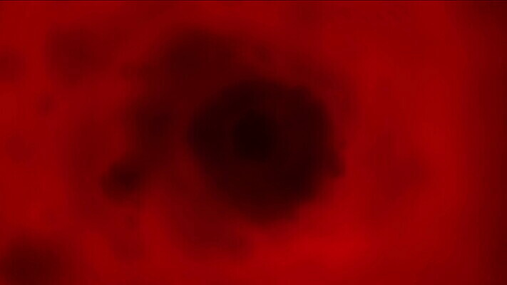 과학 백그라운드 패턴 벽지 표면 추상 세포 건강 미술 사람 사람없음 빨간색 물 빛 약 3D 고통 흐름 혈액 터널 보호 질병 유기농 질감 생물학 함선 만들기 미생물 암 박테리아 동맥 정맥 4K MOV 해외동영상 클립영상 자연요소 웰빙 교육 감정 길 컬러 컨셉 무늬 배_교통 의학 모션 문화예술 생물 디지털합성 혈관 동영상 파일형식