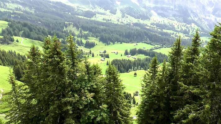 나무 밭 자연 산 주택 사람없음 초록색 평화 마을 계곡 침묵 시골 소나무 곤돌라 스위스 그림 알프스 오르막 베른 MP4 해외동영상 클립영상 식물 유럽 컬러 컨셉 농업 건물 소리 생태계 동영상 파일형식