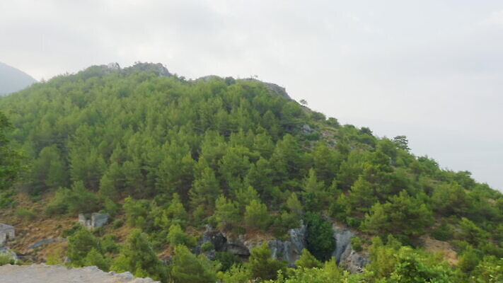 나무 여행 자연 하늘 날씨 산 안테나 사람없음 야외 초록색 햇빛 태양 환경 골짜기 맑음 봄 꿈 안개 시간 소나무 황무지 숲 신비 지중해 언덕 슛 장면 천국 드론 뿌연 오지 패닝샷 환상 그리너리 타임랩스 MOV 해외동영상 클립영상 자연요소 식물 계절 바다 컬러 컨셉 통신 촬영기법 생태계 동영상 파일형식 트랜드컬러