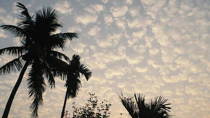 나무 구름 계절 바다 섬 여행 백그라운드 단풍 잎 자연 바람 휴가 풍경 사람없음 야외 초록색 여름 파란색 햇빛 태양 환경 맑음 고요 황혼 일몰 전원 시골 열대우림 환경보전 석호 열대기후 MP4 해외동영상 클립영상 자연요소 식물 컬러 날씨 노을 전기에너지 숲 사회이슈 생태계 동영상 파일형식
