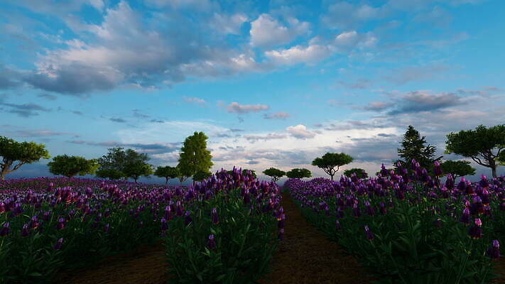 나무 식물 꽃 유럽 선 컬러 꽃무늬 밭 농업 자연 사람없음 야외 파란색 컬러풀 햇빛 정원 보라색 일몰 프랑스 벚꽃 시골 개화 저녁 허브 제비꽃 향수 원예 향기 아로마 아로마테라피 라벤더 내추럴 강렬 프로방스 4K MOV 해외동영상 클립영상 나라 산업 무늬 취미 태양 노을 화장품 야간 생태계 냄새 테라피 동영상 파일형식