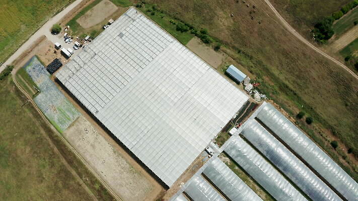 식물 산업 농업 채소 공장 건강 사람없음 초록색 농작물 농장 정원 수확 성장 신선 상추 유기농 원예 생물학 날것 하이테크 비타민 모종 온실 세련 4K MOV 해외동영상 클립영상 웰빙 교육 컬러 공업 기술 취미 동영상 영양소 파일형식