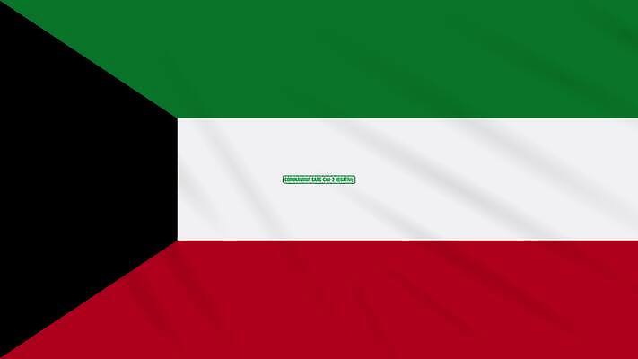 과학 백그라운드 건강 사람없음 치료 초록색 약 검은색 자유 깃발 고리 바이러스 질병 디지털합성 예방 생물학 감염 미생물 애니메이션 우표 박테리아 그런지 돌리기 백신 부정적 전염병 증상 치유 쿠웨이트 항생제 사스 코로나바이러스 4K MOV 해외동영상 클립영상 교육 감정 컬러 컨셉 중동 의학 모션 생물 동영상 파일형식