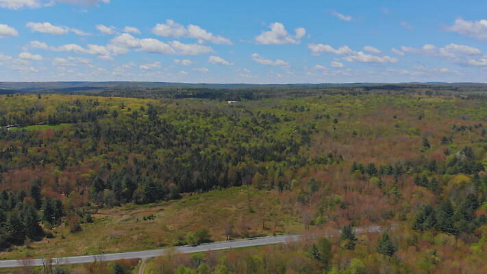 나무 구름 계절 여행 자연 하늘 산 파노라마 풍경 초원 사람없음 야외 초록색 물 여름 파란색 평화 환경 계곡 미국 봄 하이킹 가을 시골 숲 언덕 즐거움 장면 내추럴 랜드마크 전국 절정 콜로라도 4K MOV 해외동영상 클립영상 자연요소 식물 감정 컬러 컨셉 북아메리카 레저 촬영기법 생태계 동영상 파일형식