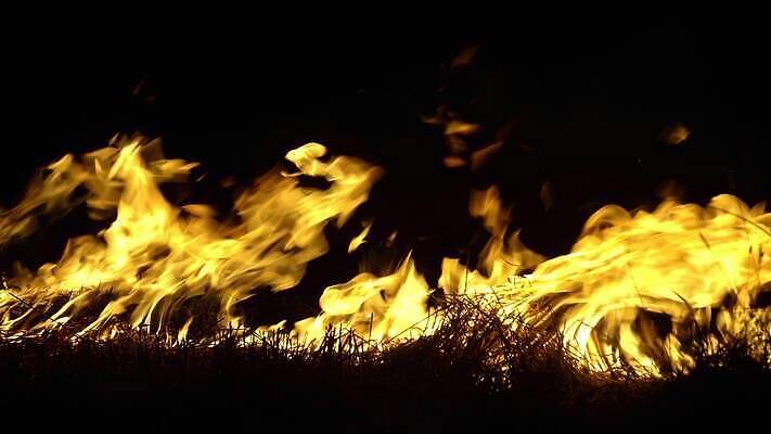 컬러 백그라운드 오렌지 자연 불 불꽃 실험 사람없음 야외 목재 빨간색 글로벌 환경 손상 안개 긴급 죽음 소나무 뜨거움 고리 오염 변화 연기 야간 숲 위험 소방관 언덕 문제 내추럴 생태학 이산화탄소 재앙 점화 화상 4K MP4 해외동영상 클립영상 자연요소 나무 교육 컨셉 과일 재료 날씨 상처 구조원 소방 생태계 동영상 파일형식