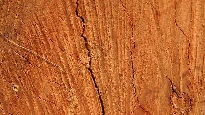 디자인 가구 백그라운드 건축양식 자연 날씨 건조 건설업 사람없음 목재 장식 환경 페인트 수확 골동품 시골 소나무 거친 유기농 목공예 시들음 지질학 콘크리트 합판 카피스페이스 비어있는 MP4 해외동영상 클립영상 나무 웰빙 교육 건축 산업 생활용품 농업 재료 공백 공예 생태계 동영상 파일형식