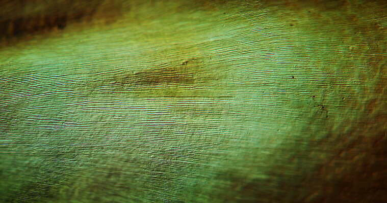 과학 이동 왕관 세포 사람없음 빨간색 파란색 약 시험 성장 조직 확대 치아 쥐 지원 4K 현미경관찰 MOV 해외동영상 클립영상 교육 컬러 컨셉 의학 관찰 소화기관 설치류 동영상 파일형식