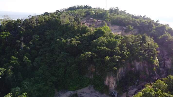 나무 식물 백그라운드 밭 자연 건설업 파노라마 풍경 사람없음 야외 초록색 여름 환경 농촌 시골 숲 열대우림 언덕 환경보전 지구온난화 말레이시아 내추럴 열대기후 조감도 4K MP4 해외동영상 클립영상 계절 산업 아시아 컬러 농업 촬영기법 사회이슈 생태계 동영상 기후변화 파일형식