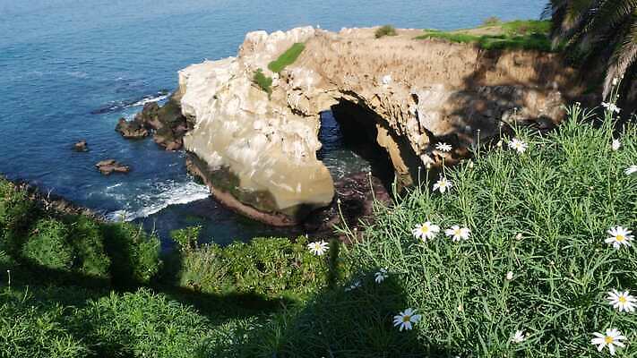 파도 단풍 경사 사람없음 관광지 야자수 햇빛 미국 만 구멍 서핑 동굴 환경보전 부식 아치 캘리포니아 태평양 사암 탐사 석호 발견 산티아고 아열대 잔물결 지질학 특별함 4K MP4 해외동영상 클립영상 나무 교육 물결 바다 여행 컨셉 잎 북아메리카 태양 돌_바위 수상스포츠 사회이슈 동영상 파일형식