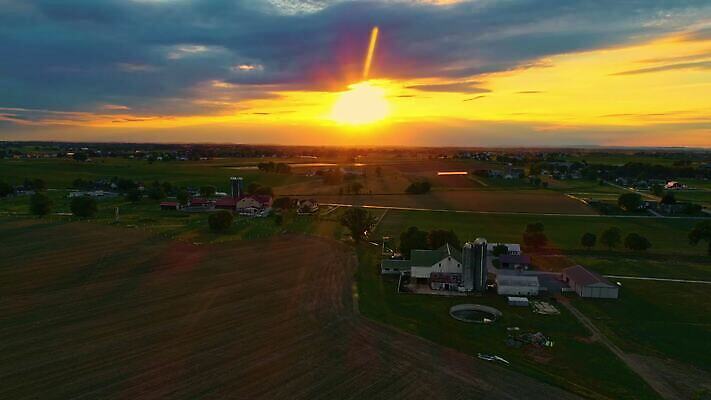 식물 구름 계절 백그라운드 밭 농업 오렌지 자연 하늘 옥수수 풍경 초원 사람없음 야외 초록색 여름 파란색 빛 농작물 햇빛 태양 농장 농경지 노란색 일출 환경 맑음 황혼 일몰 수확 성장 가을 시골 황금 저녁 낟알 땅 밀 장면 내추럴 드론 밭일 수평선 4K MOV 해외동영상 클립영상 자연요소 산업 컬러 과일 날씨 곡류 노을 야간 생태계 동영상 파일형식