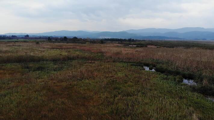 나무 식물 계절 바다 잎 자연 하늘 안테나 사람없음 물 강 카메라 환경 안개 만 개울 습지 지중해 관목 언덕 흔들림 타운 서식지 창백 드론 패닝샷 4K MP4 해외동영상 클립영상 자연요소 통신 모션 날씨 촬영기법 전자제품 도시 생태계 동영상 파일형식