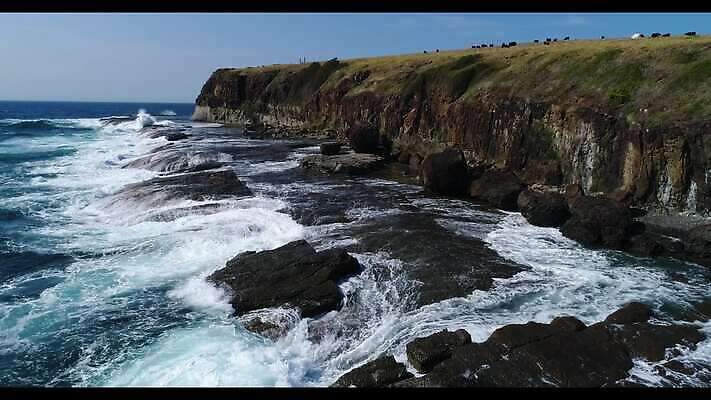 동물 파도 바다 여행 조류 하늘 안테나 풍경 사람없음 야외 초록색 물 파란색 농장 검은색 가축 흰색 소 호주 땅 암초 동영상 드론 밭일 해일 4K MP4 해외동영상 클립영상 자연요소 컬러 농업 통신 포유류 오세아니아 자연재해 파일형식