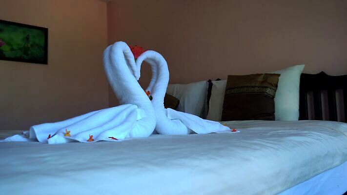 디자인 커플 기념일 섬 여행 결혼 창문 모션 태국 호텔 휴식 열대 아파트 발렌타인데이 사랑 사람없음 장식 수건 야자수 태양 숫자 맑음 스파 기쁨 침실 방 낭만 흰색 하트 침대 배열 심볼 휴양지 백조 꿀 예약 여관 푸켓 호스텔 4K MP4 해외동영상 클립영상 자연요소 모양 나무 문자 감정 아시아 컬러 가구 컨셉 관계 데이이벤트 조류 숙소 날씨 주택 이벤트 위생용품 장소 동영상 파일형식