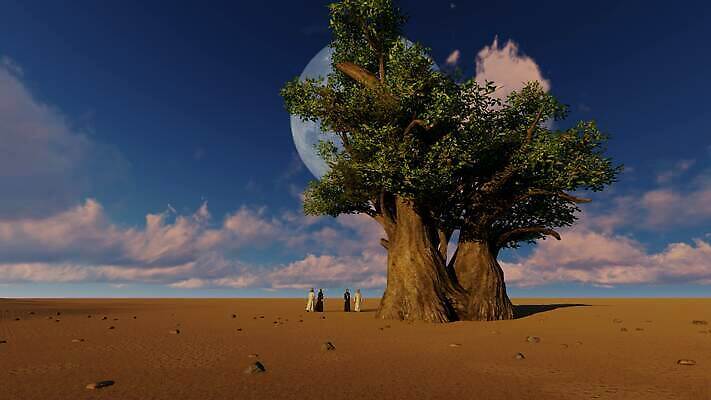 나무 구름 모래 여행 백그라운드 아프리카 자연 하늘 건조 사람 풍경 사람없음 야외 여름 달리기 여행객 일몰 우정 산책 사막 승차 저녁 토론 모래언덕 동료 검색 사하라 사우디아라비아 숨김 아카시아 고립 나미비아 두바이 4K MP4 해외동영상 클립영상 자연요소 식물 계절 나라 컨셉 중동 관계 모션 휴식 친구 노을 야간 언덕 생태계 동영상 아랍에미리트 남아프리카 파일형식