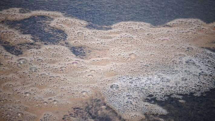 동물 바다 백그라운드 자연 표면 추상 새우 어류 사람없음 빨간색 물 반려동물 우주 검은색 수영 젖음 원숭이 작음 질감 수족관 우즈베키스탄 고립 4K MP4 해외동영상 클립영상 자연요소 컬러 무늬 포유류 갑각류 수중동물 수상스포츠 크기 생태계 동영상 중앙아시아 파일형식