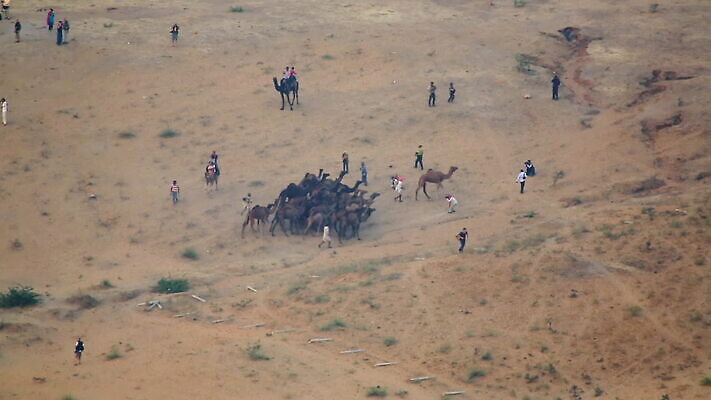 동물 전통 아시아 문화 모래 여행 포유류 자연 사람 동양인 사람없음 야외 모래사장 컬러풀 마을 축제 가축 사막 시골 도시 소 시장 인도인 전시회 무역 캔버스 낙타 타운 공평 부족 단봉낙타 조감도 MOV 해외동영상 클립영상 외국인 나라 산업 바다 컬러 컨셉 인종 전시 생태계 동영상 파일형식
