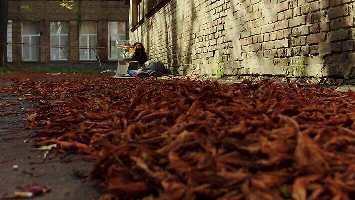 잡화 음식 벽 잎 거리 돌담 한명 앉기 성인 바구니 카트 떨어짐 쓰레기 가난 실업 사인 판지 거지 노숙자 땅바닥 소셜 옛날 4K MP4 해외동영상 클립영상 식물 1 컨셉 비즈니스 모션 바닥 사람 담장 돌_바위 동영상 파일형식