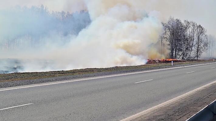 나무 구름 계절 도로 여행 백그라운드 교통시설 자동차 자연 불 바람 날씨 건조 사람없음 힘 봄 운전 고속도로 연기 보호 숲 위험 큼 아스팔트 위협 무거움 연소 방법 삼림지대 MP4 해외동영상 클립영상 자연요소 식물 길 육상교통 교통 컨셉 모션 무게 크기 시설 생태계 동영상 파일형식