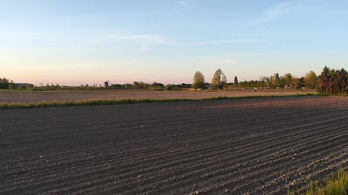 나무 식물 유럽 여행 백그라운드 밭 농업 건축양식 자연 하늘 파노라마 사람없음 야외 초록색 빛 태양 농장 농경지 평화 일출 일몰 봄 이탈리아 시골 언덕 장면 타운 시에나 양조장 토스카나 수평선 4K MP4 해외동영상 클립영상 자연요소 계절 건축 나라 산업 컬러 컨셉 촬영기법 노을 도시 생태계 동영상 파일형식
