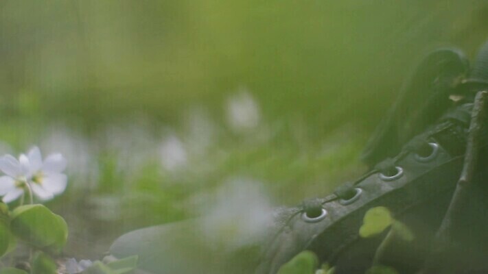 식물 꽃 어린이 백그라운드 잎 자연 바람 추상 전등 건강 사람없음 초록색 빛 펼침 떨어짐 허브 뇌 보케 나쁜 바보 인트로 MOV 해외동영상 클립영상 자연요소 컬러 컨셉 무늬 모션 날씨 조명 사람 생태계 동영상 파일형식