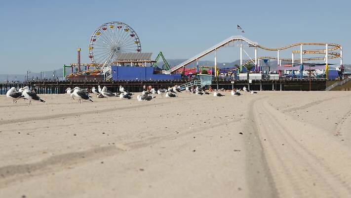 주간 계절 공원 모래 바다 여행 백그라운드 날개 갈매기 조류 하늘 휴가 따뜻함 서기 풍경 사람없음 야외 여름 햇빛 탑 항구 맑음 미국 바퀴 손목시계 캘리포니아 태평양 남쪽 로스앤젤레스 랜드마크 안전요원 카피스페이스 4K 산타모니카 MP4 해외동영상 클립영상 자연요소 동물 건축물 공공시설 시계 북아메리카 장신구 교통시설 모션 날씨 태양 공백 방향 동영상 파일형식