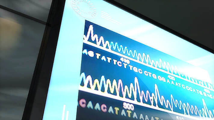 산업 과학 실험 사람없음 그래픽 스크린 실험실 DNA 분석 생물학 공학 MOV 해외동영상 클립영상 교육 컨셉 생명공학 동영상 파일형식