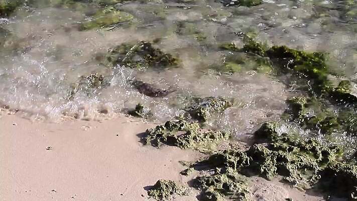 물결 모래 파도 바다 섬 여행 백그라운드 패턴 모션 자연 하늘 표면 추상 휴가 풍경 사람없음 물 여름 파란색 빛 햇빛 태양 반사 수중 수영 침묵 젖음 흰색 만 투명 액체 질감 내추럴 깊이 이국적 터키석 4K MP4 해외동영상 클립영상 자연요소 계절 컬러 무늬 소리 수상스포츠 보석 생태계 동영상 파일형식