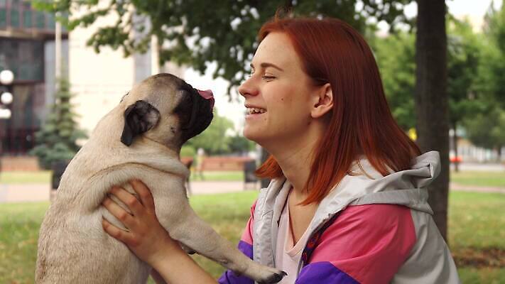동물 1 라이프스타일 공원 여자 행복 얼굴 새끼 통신 자연 놀이 휴식 함께함 사랑 한명 웃음 사람 야외 초록색 반려동물 맑음 우정 잡기 닫기 개 강아지 핥기 작음 주인 송곳니 관심 기르기 돌봄 4K 순혈 MOV 해외동영상 클립영상 공공시설 감정 컬러 컨셉 포유류 모션 날씨 표정 생활 신체부위 친구 치아 크기 생태계 동영상 파일형식