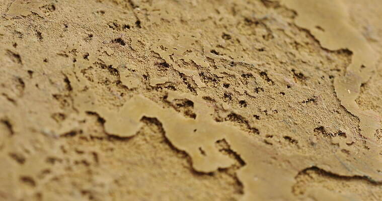 디자인 아시아 도로 모래 파도 여행 백그라운드 패턴 자연 추상 휴가 미술 사람없음 환경 맑음 희망 사막 시간 뜨거움 구멍 야간 저녁 사파리 언덕 질감 온도 동쪽 고립 방법 오해 진짜 케랄라주 4K MOV 해외동영상 클립영상 자연요소 감정 나라 길 바다 무늬 교통시설 날씨 문화예술 인도_나라 방향 생태계 동영상 파일형식