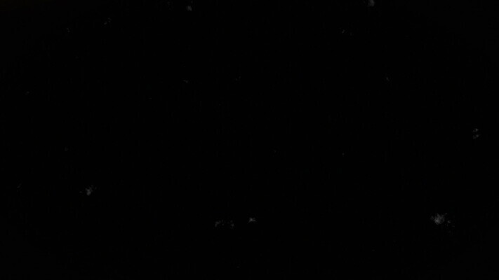 디자인 파도 과학 백그라운드 오렌지 모션 벽지 불 추상 프레임 미술 사람없음 빛 카메라 우주 어둠 소리 공백 손상 에너지 수확 네트워크 고리 입자 연기 저녁 연결 낟알 영화관 필름 영화 질감 복고 덮기 스크래치 기하학 영사기 망사 광 그런지 옛날 효과 MOV 해외동영상 클립영상 자연요소 바다 컨셉 무늬 농업 과일 문화예술 전자제품 직물 야간 극장 동영상 파일형식