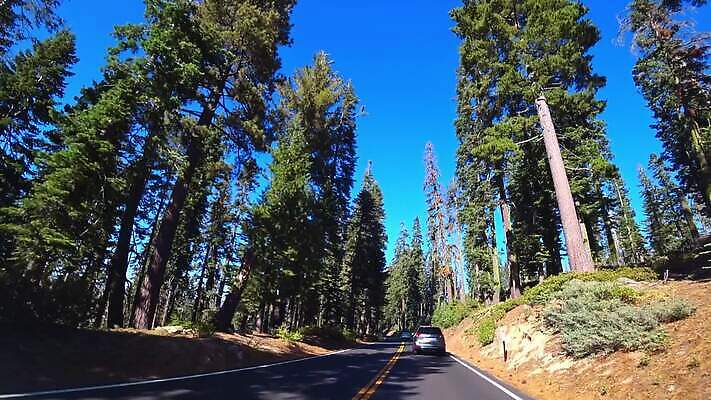 나무 접시 공원 도로 여행 교통시설 자동차 자연 하늘 휴가 산 거리 국립공원 풍경 사람없음 초록색 여름 계곡 맑음 미국 놀람 하이킹 운전 도시 고속도로 숲 아스팔트 캘리포니아 내추럴 굴곡 루트 요세미티국립공원 전국 MOV 해외동영상 클립영상 식물 식기 계절 공공시설 감정 길 육상교통 컬러 교통 북아메리카 모션 레저 날씨 표정 시설 생태계 동영상 파일형식