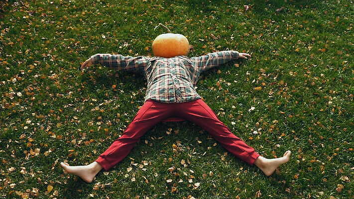 여자 얼굴 백그라운드 컨셉 채소 오렌지 자연 호박 휴가 휴식 천사 생물 관리 가면 한명 사람 앉기 잔디 야외 머리 할로윈 가을 시골 등불 무서움 만들기 위치 바보 크리스마스이브 호러 못생김 4K MOV 해외동영상 클립영상 식물 1 계절 감정 크리스마스 과일 모션 조명 신체부위 생태계 공포 동영상 파일형식