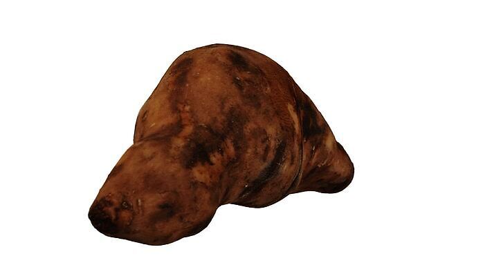 모델 음식 백그라운드 채소 사람없음 가로 세로 농작물 3D 흰색 고리 보행로 달콤 오브젝트 회전 만들기 뿌리 고립 돌리기 무한 스캔 완벽 진짜 페루 현실 디테일 MP4 해외동영상 클립영상 길 컬러 컨셉 농업 모션 남아메리카 맛 디지털합성 동영상 파일형식