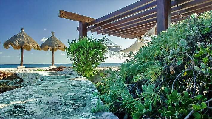 모래 파도 바다 섬 여행 우산 자연 휴가 휴식 멕시코 손바닥 해변 사람없음 관광지 야자수 태양 평화 일몰 뜨거움 충돌 묘사 휴양지 암초 마야 이국적 칸쿤 파라다이스 화창 MP4 해외동영상 클립영상 자연요소 나무 손 컨셉 북아메리카 날씨 노을 장소 생태계 마야문명 동영상 파일형식