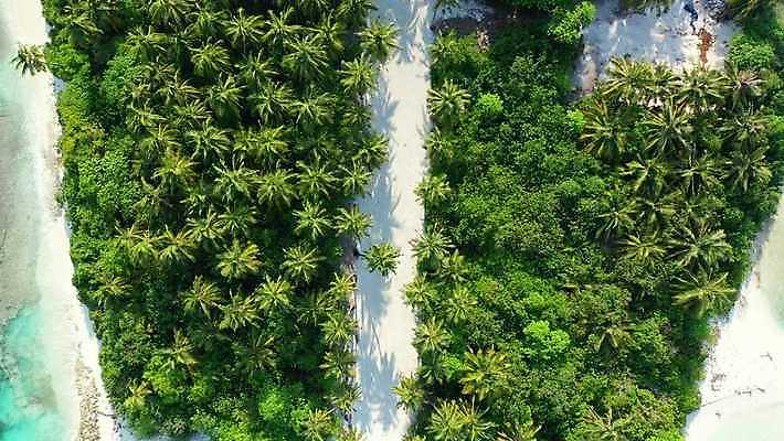 주간 바다 백그라운드 휴가 사랑 해변 사람없음 야자수 흰색 오픈 씻기 4K MP4 해외동영상 슬로모션 클립영상 자연요소 나무 감정 컬러 촬영기법 청결 동영상 파일형식