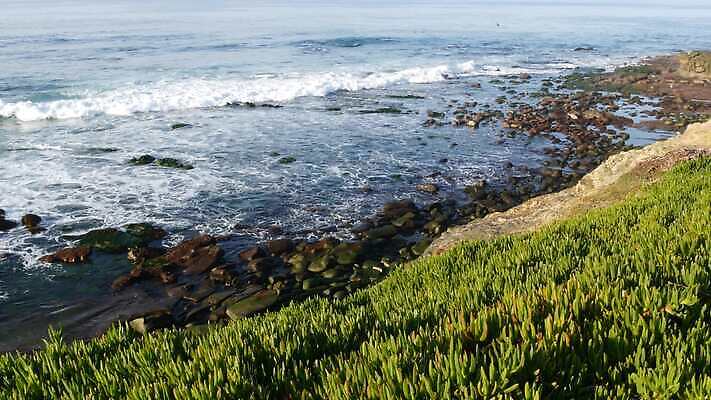 파도 바다 조류 파노라마 경사 사람없음 초록색 햇빛 미국 성장 만 서핑 순수 캘리포니아 태평양 강렬 산티아고 잔물결 흉터 스플래쉬 카피스페이스 비어있는 4K MP4 해외동영상 클립영상 동물 물결 컬러 컨셉 북아메리카 촬영기법 태양 공백 수상스포츠 상처 동영상 파일형식