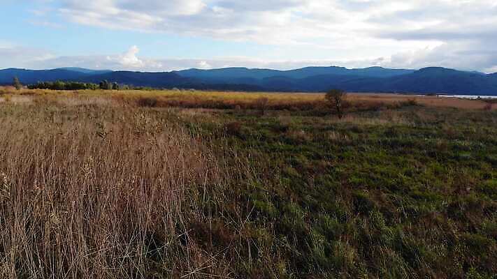 나무 식물 계절 바다 잎 자연 하늘 건조 안테나 사람없음 초록색 물 환경 만 습지 지중해 관목 언덕 흔들림 서식지 창백 드론 파스텔톤 4K MP4 해외동영상 클립영상 자연요소 컬러 통신 모션 생태계 동영상 파일형식