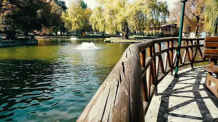 라이프스타일 손 응시 공원 음악 자연 건강 관리 야외 울타리 운동복 조깅 운동 기댐 연못 도시 연습 기중기 내추럴 달리기선수 4K MP4 해외동영상 클립영상 시선 옷 공공시설 모션 문화예술 생활 신체부위 담장 중장비 생태계 육상선수 동영상 파일형식