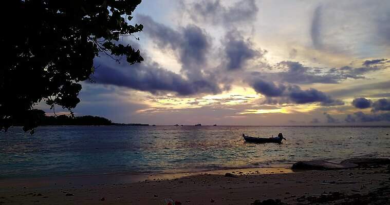 바다 백그라운드 조류 휴가 사람없음 태양 흰색 다이빙 4K MOV 해외동영상 클립영상 자연요소 동물 컬러 수영 동영상 수중스포츠 파일형식