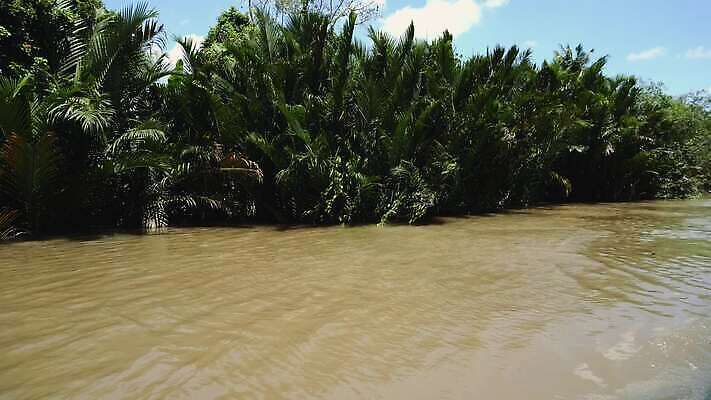 식물 전통 아시아 여행 밭 동양인 사람없음 초록색 강 시골 도시 보트 시장 숲 생태계 문서 베트남 남쪽 메콩강 4K MOV 해외동영상 클립영상 나라 컬러 농업 배_교통 인종 동남아시아 방향 동영상 파일형식