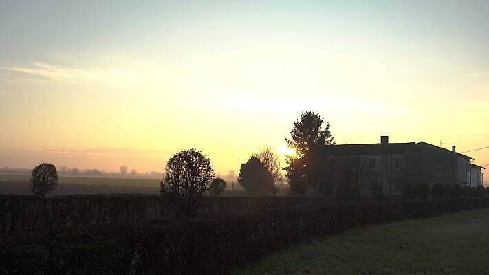 나무 식물 계절 공원 컬러 여행 백그라운드 밭 농업 자연 아침 사람없음 야외 초록색 파란색 빛 햇빛 태양 농장 노란색 일출 환경 맑음 황혼 일몰 봄 새벽 시골 저녁 숲 땅 언덕 장면 내추럴 수평선 4K MP4 해외동영상 클립영상 주간 자연요소 공공시설 산업 날씨 노을 야간 생태계 동영상 파일형식