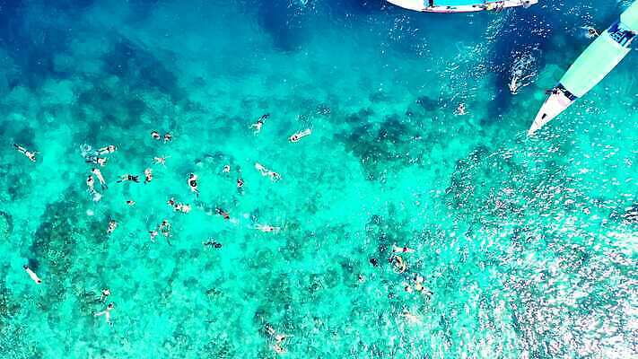 행복 파도 여행 백그라운드 어류 사람없음 물 흰색 다이빙 4K MP4 해외동영상 클립영상 자연요소 감정 바다 컬러 수영 수중동물 동영상 수중스포츠 파일형식