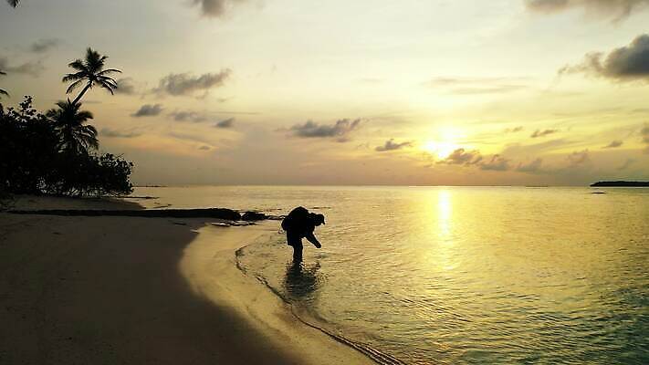 주간 백그라운드 한명 초록색 야자수 맑음 껍질 흰색 크리스탈 휴양지 암초 석호 이국적 4K MP4 해외동영상 클립영상 자연요소 나무 1 컬러 날씨 사람 장소 광석 동영상 파일형식