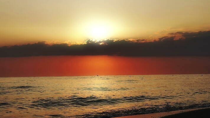 모래 바다 여행 백그라운드 맨발 자연 휴가 휴식 사람없음 야외 물 햇빛 걷기 일출 일몰 산책 닫기 파라다이스 4K MOV 해외동영상 슬로모션 클립영상 자연요소 컨셉 모션 발 촬영기법 태양 노을 생태계 동영상 파일형식